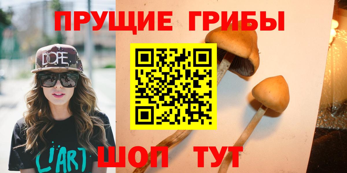 Псилоцибиновые грибы MAGIC MUSHROOMS Прокопьевск
